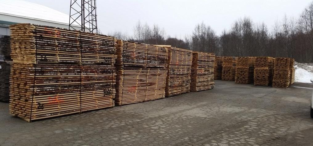 Birch lumbers (unedged)