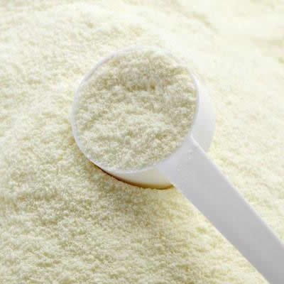 Skimmed Milk Powder