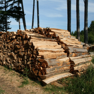 Beech Firewood