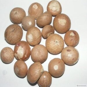 BETEL NUTS