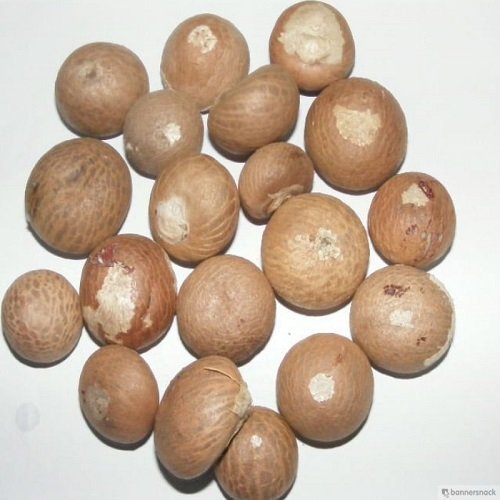 BETEL NUTS