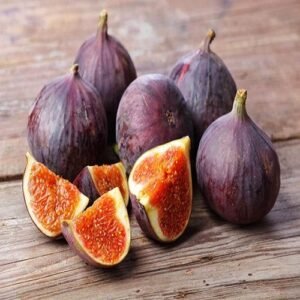 Fig
