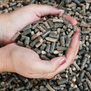 Sunflower Husk Pellets