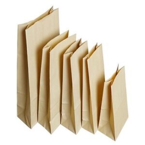Kraft Paper Bags