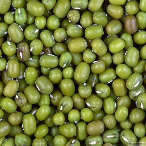MUNG BEANS
