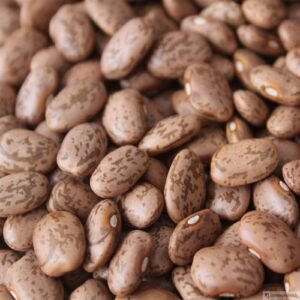 PINTO BEANS