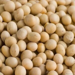 SOYBEANS