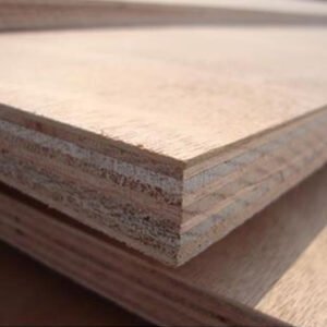 POPLAR PLYWOOD