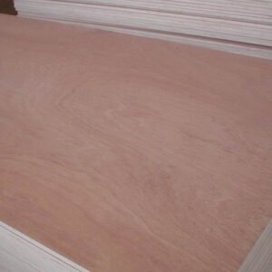 BEECH PLYWOOD