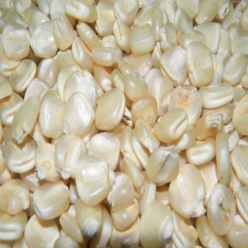 White Corn